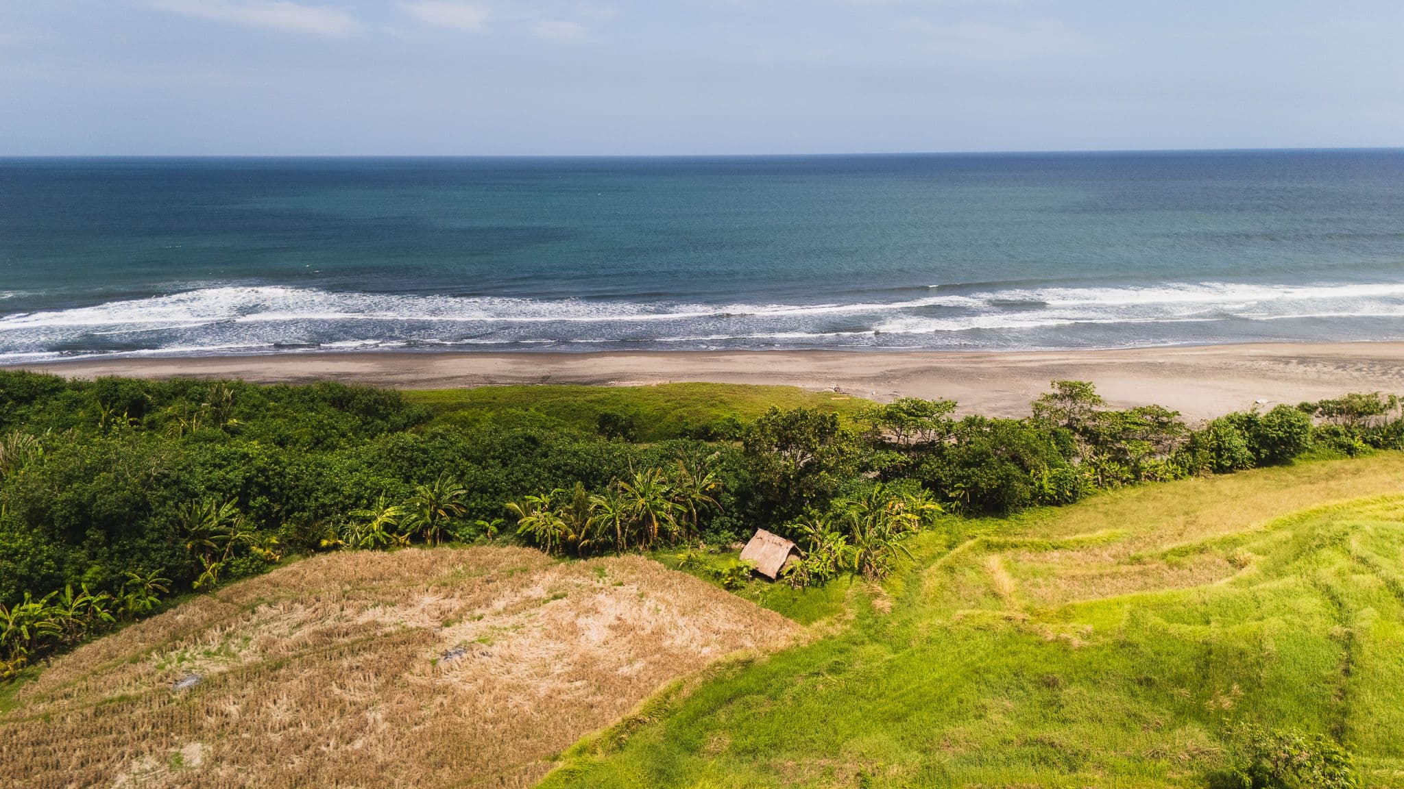 DJI_20260510110030_0113_D