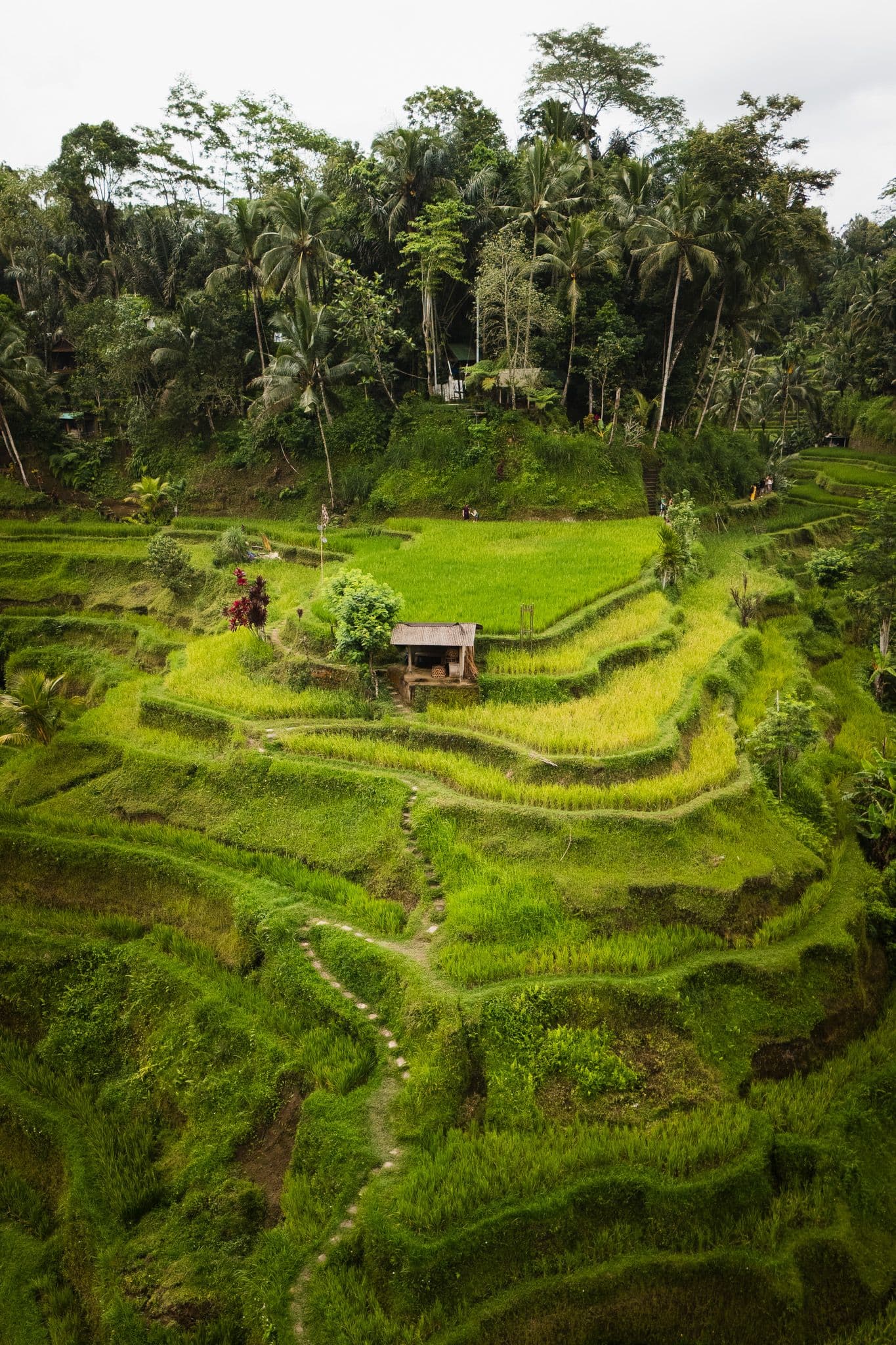 DJI_20260516123324_0180_D