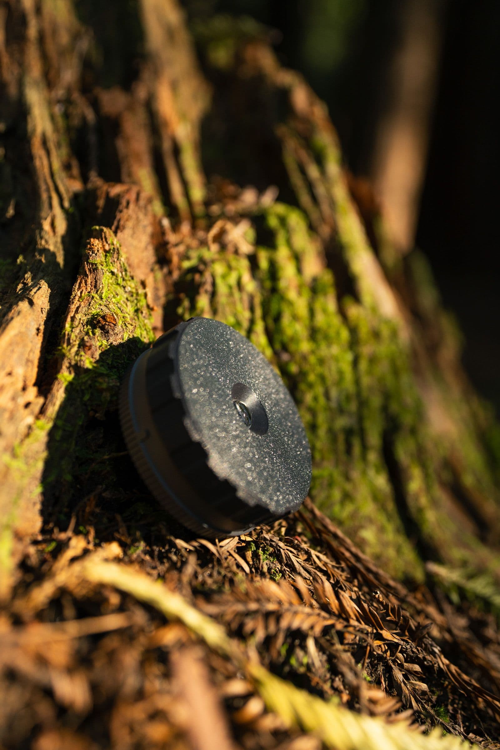 A round black product rests on mossy bark with warm late-day light.