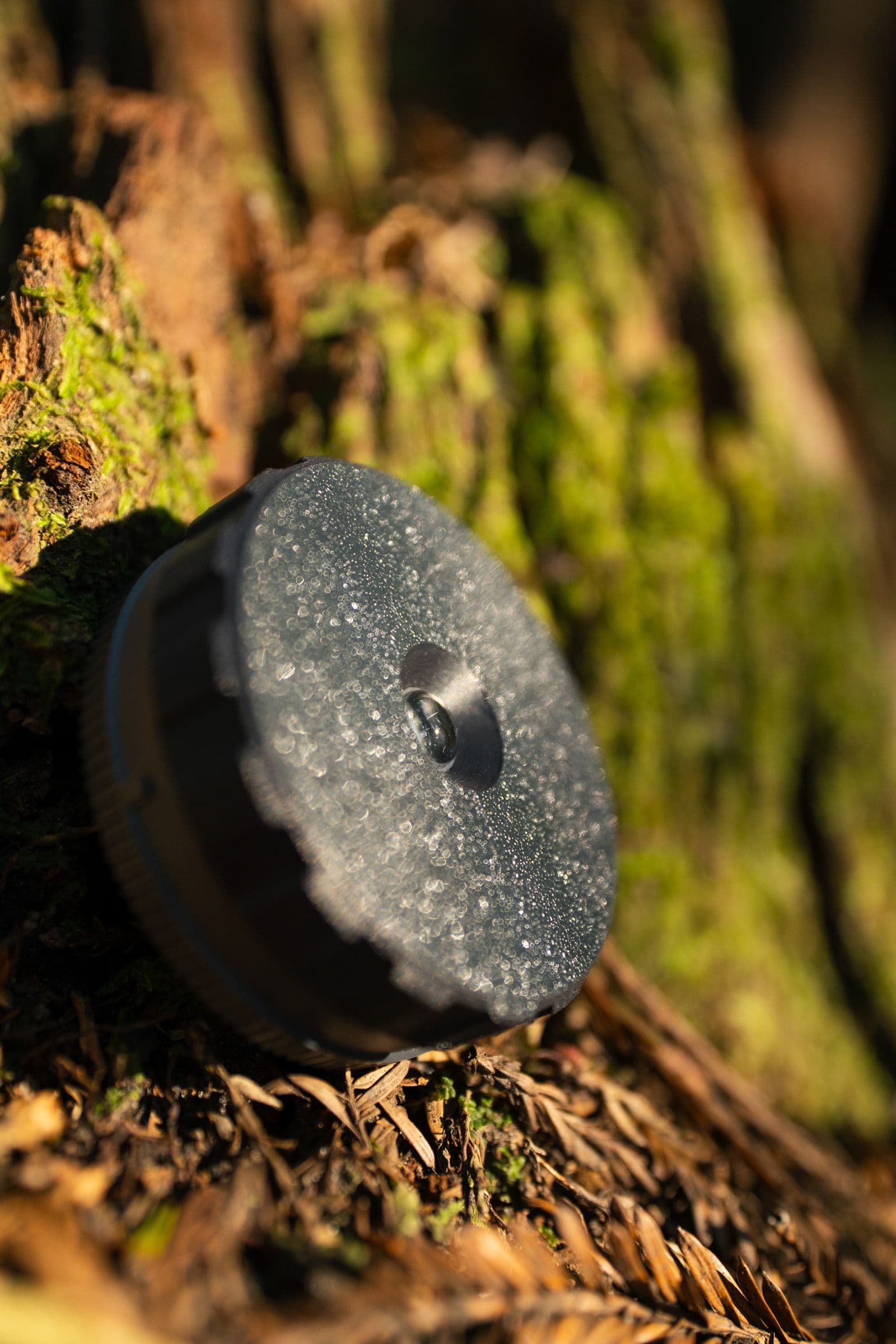 A water-flecked black product leans against green moss on a tree base.