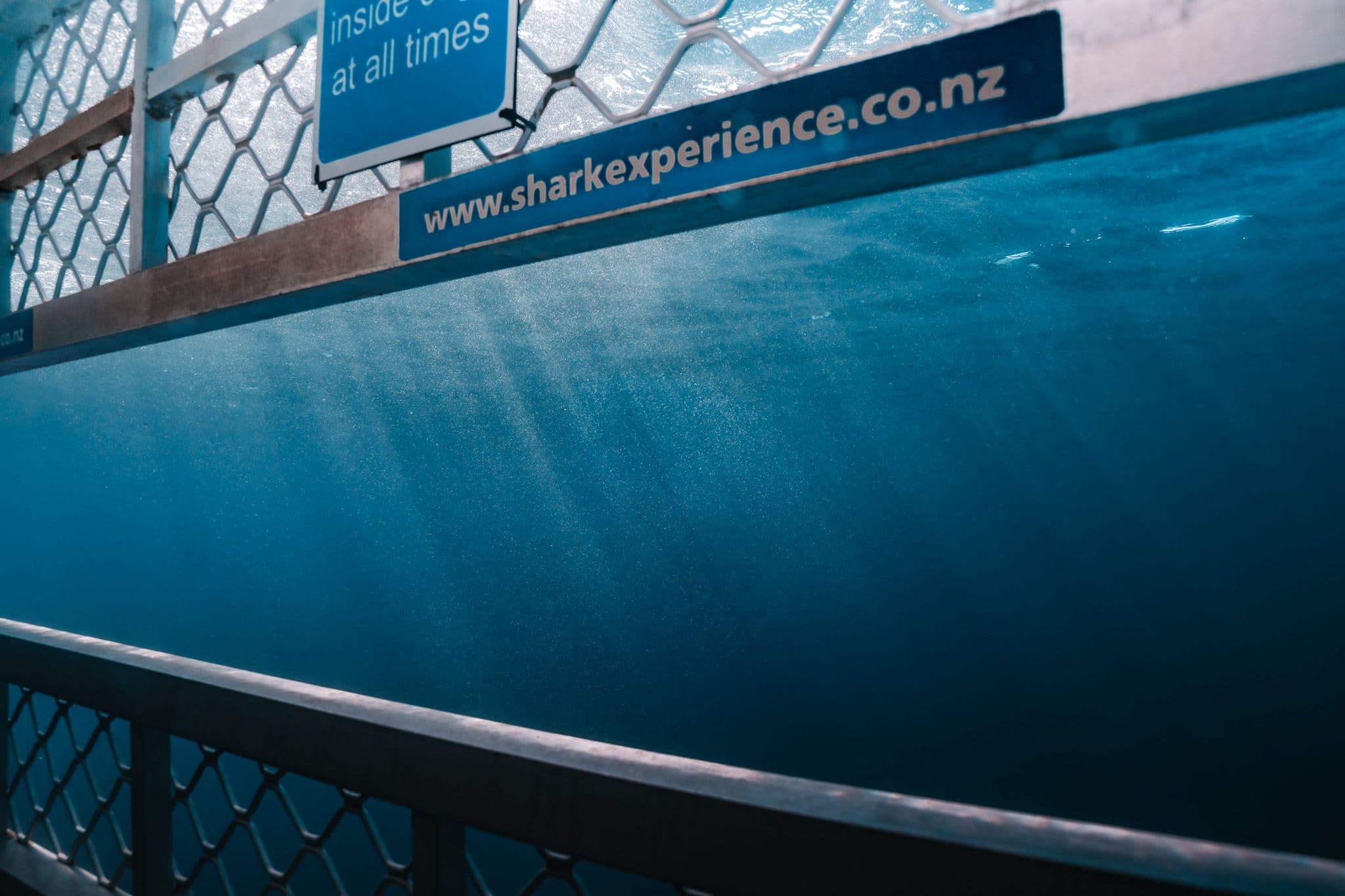 Shark Experience product photography