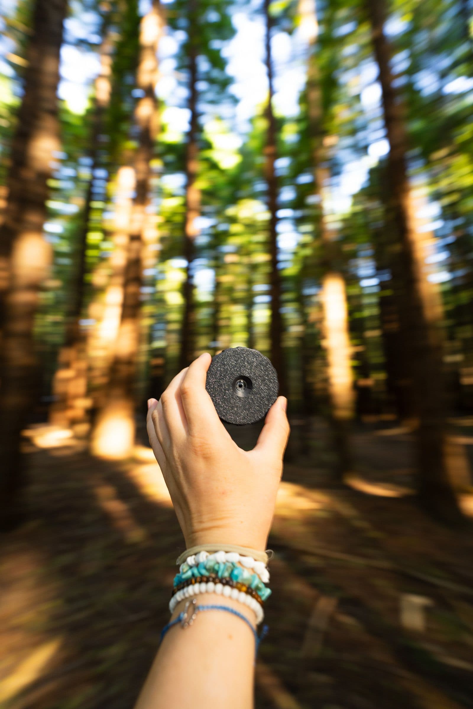 A hand holds a black round product up toward motion-blurred redwood trees.